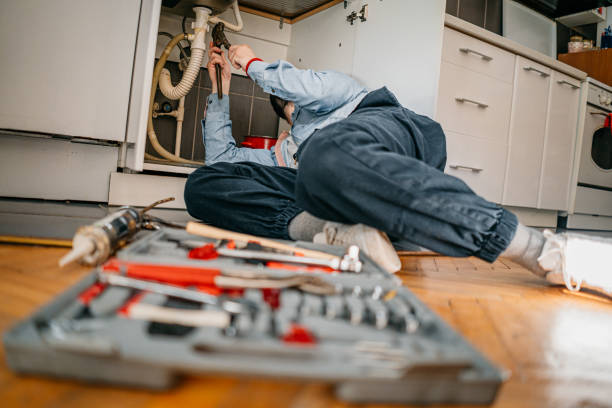 Best Sewer Cleaning Services  in Pine Island, MN