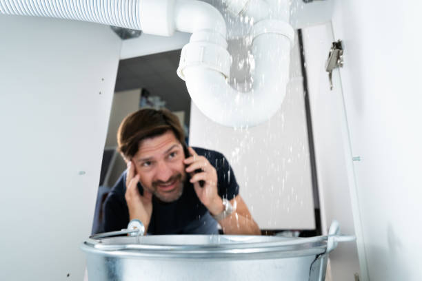 Best Local Plumber Services  in Pine Island, MN