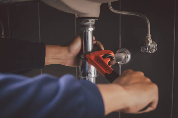 Best Septic Systems  in Pine Island, MN