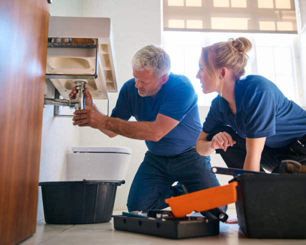 Best Clogged Drain Plumber  in Pine Island, MN